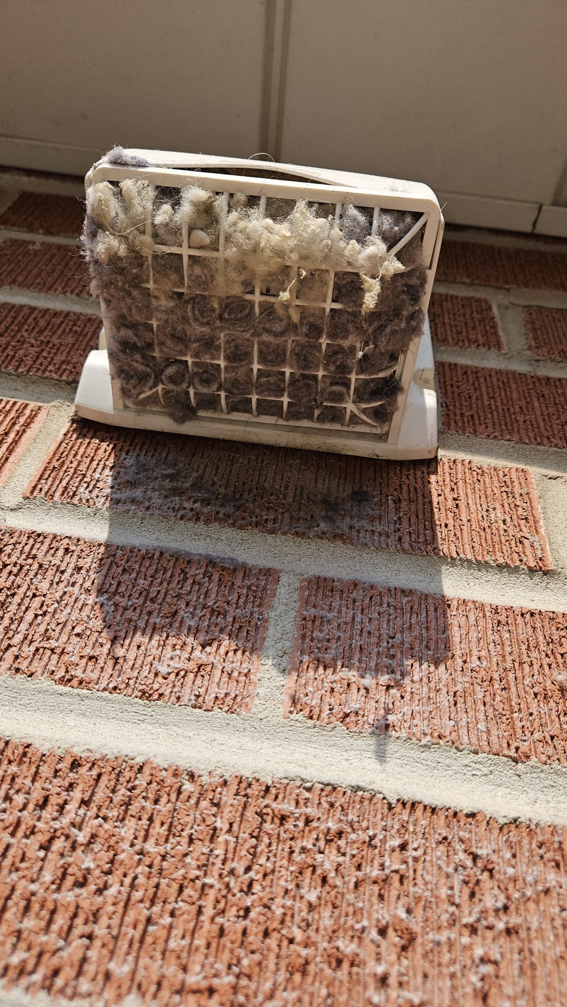 Professional dryer vent cleaning