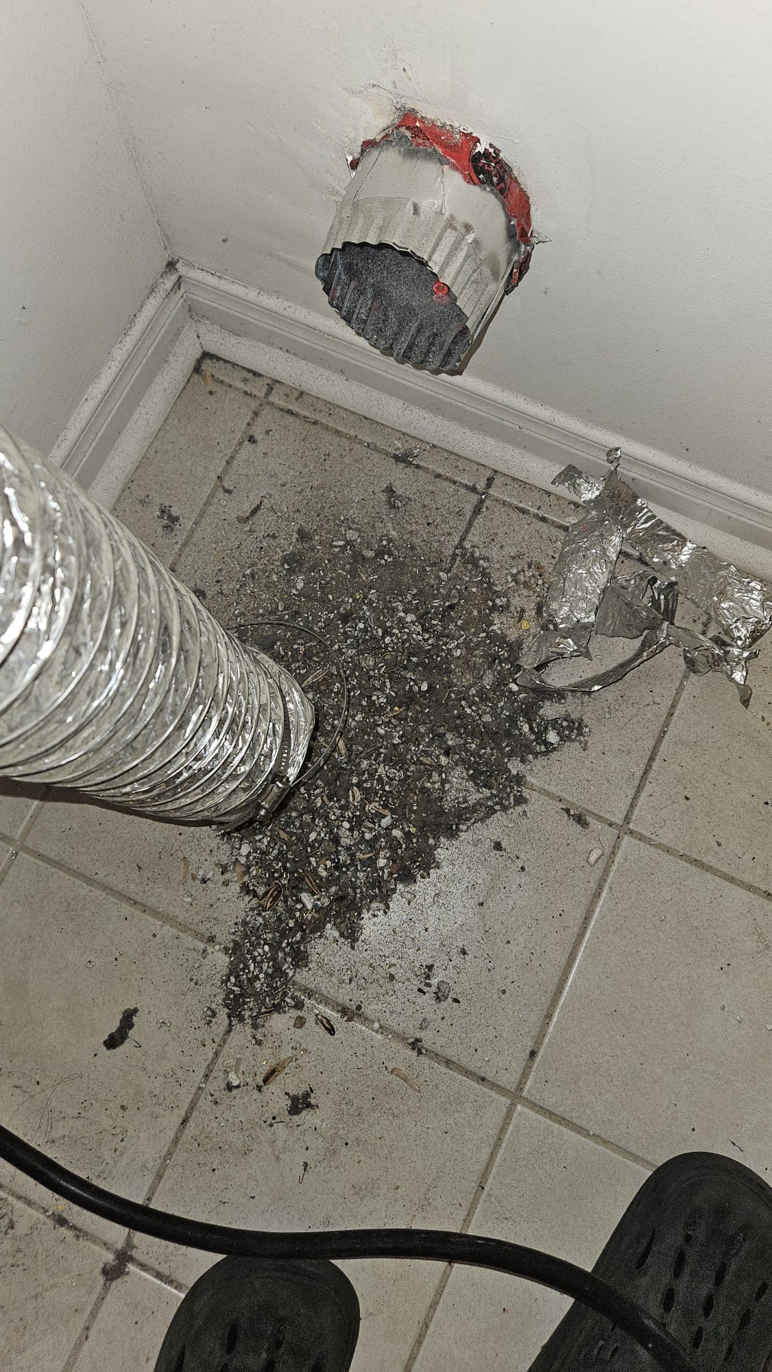 Dryer vent exterior cleaning